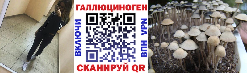 Псилоцибиновые грибы мухоморы  что такое   Туринск 